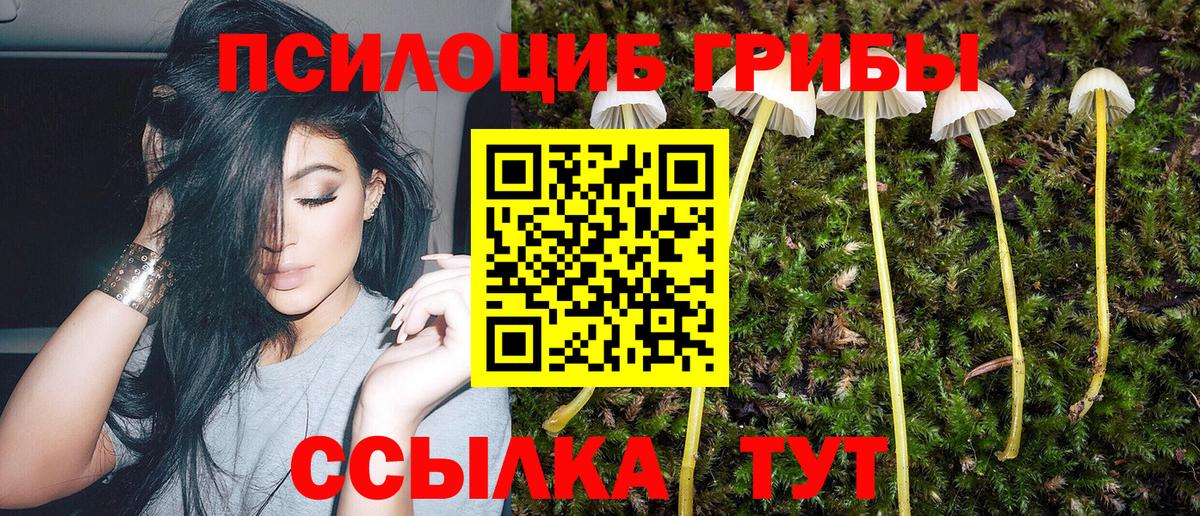 Галлюциногенные грибы Cubensis Ливны